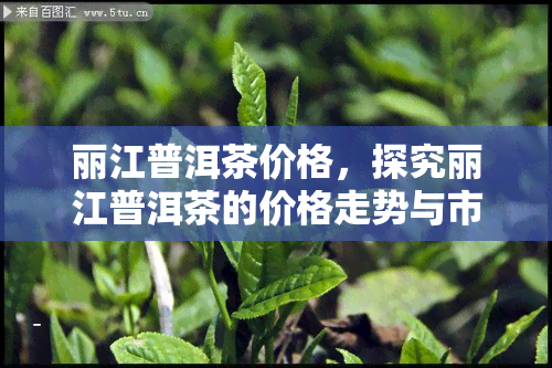 丽江普洱茶价格，探究丽江普洱茶的价格走势与市场行情