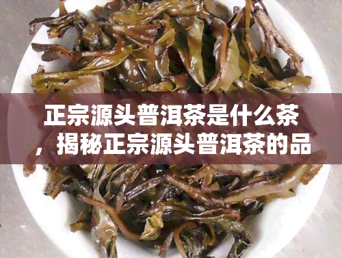 正宗源头普洱茶是什么茶，揭秘正宗源头普洱茶的品种与制作工艺