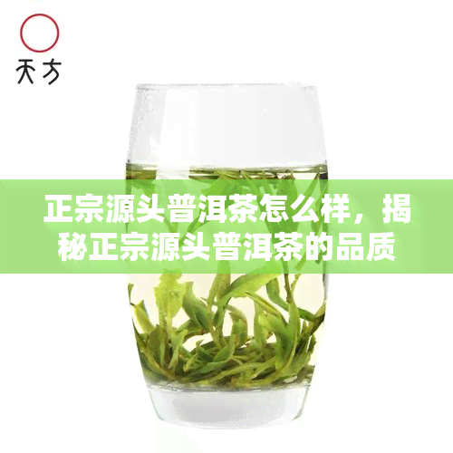 正宗源头普洱茶怎么样，揭秘正宗源头普洱茶的品质与价值，你了解多少？