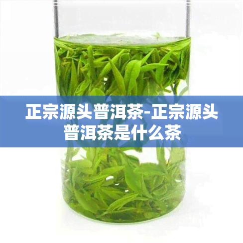 正宗源头普洱茶-正宗源头普洱茶是什么茶