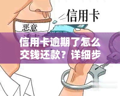 信用卡逾期了怎么交钱还款？详细步骤解析