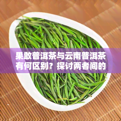 果敢普洱茶与云南普洱茶有何区别？探讨两者间的异同点