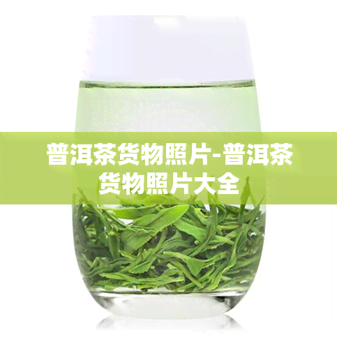 普洱茶货物照片-普洱茶货物照片大全