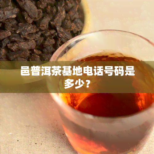 邑普洱茶基地电话号码是多少？