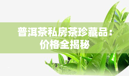 普洱茶私房茶珍藏品：价格全揭秘