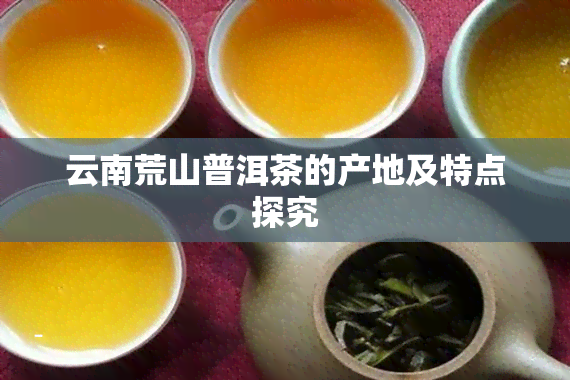 云南荒山普洱茶的产地及特点探究