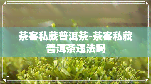 茶客私藏普洱茶-茶客私藏普洱茶违法吗