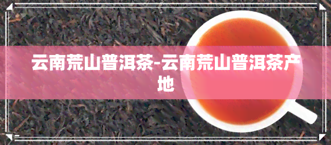 云南荒山普洱茶-云南荒山普洱茶产地