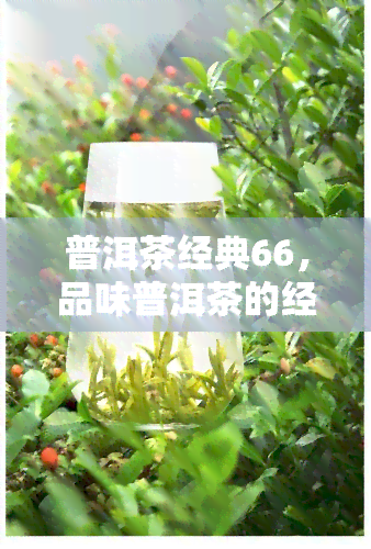 普洱茶经典66，品味普洱茶的经典魅力：66款不可错过的茶叶选择