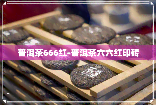 普洱茶666红-普洱茶六六红印砖