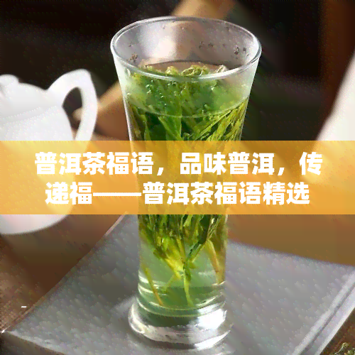 普洱茶福语，品味普洱，传递福——普洱茶福语精选