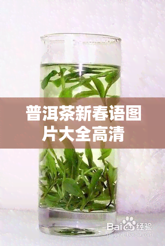 普洱茶新春语图片大全高清