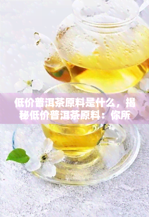 低价普洱茶原料是什么，揭秘低价普洱茶原料：你所不知道的秘密