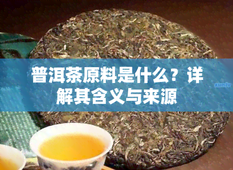 普洱茶原料是什么？详解其含义与来源