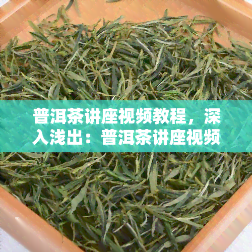 普洱茶讲座视频教程，深入浅出：普洱茶讲座视频教程