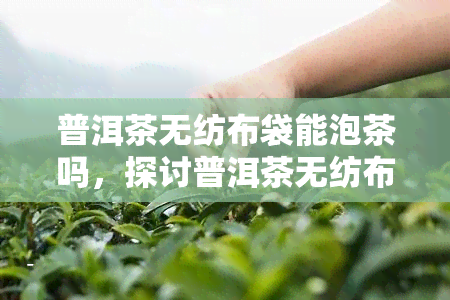 普洱茶无纺布袋能泡茶吗，探讨普洱茶无纺布袋的茶叶冲泡效果