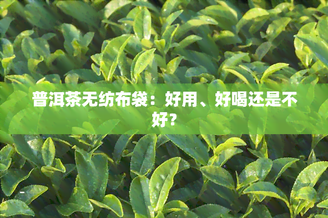 普洱茶无纺布袋：好用、好喝还是不好？