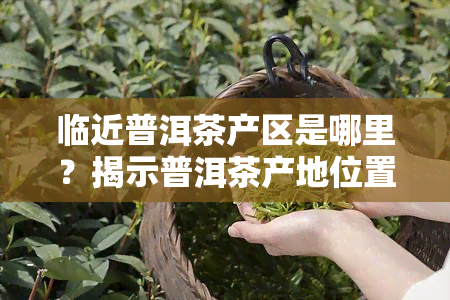 临近普洱茶产区是哪里？揭示普洱茶产地位置