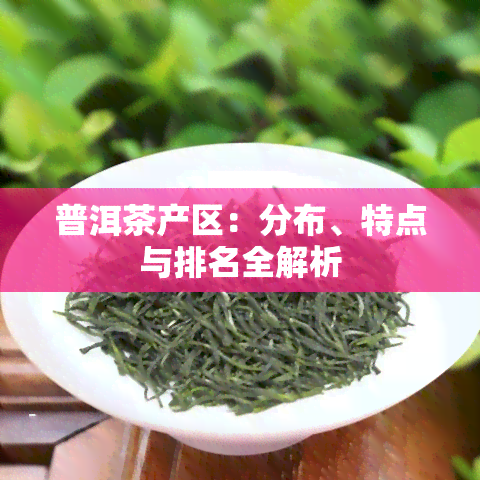 普洱茶产区：分布、特点与排名全解析