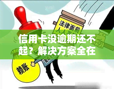 信用卡没逾期还不起？解决方案全在这！