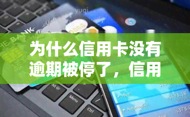 为什么信用卡没有逾期被停了，信用卡未逾期却突然被停，原因是什么？