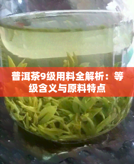 普洱茶9级用料全解析：等级含义与原料特点