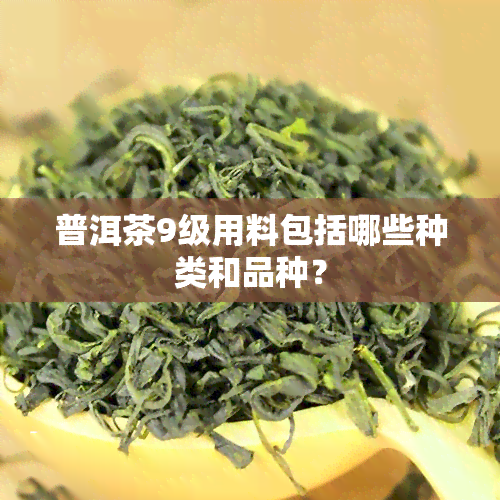 普洱茶9级用料包括哪些种类和品种？