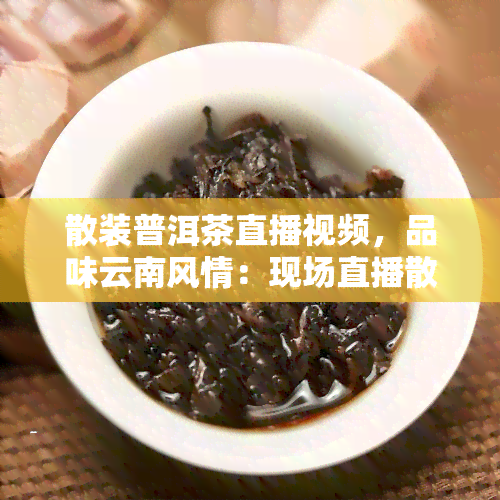 散装普洱茶直播视频，品味云南风情：现场直播散装普洱茶制作过程