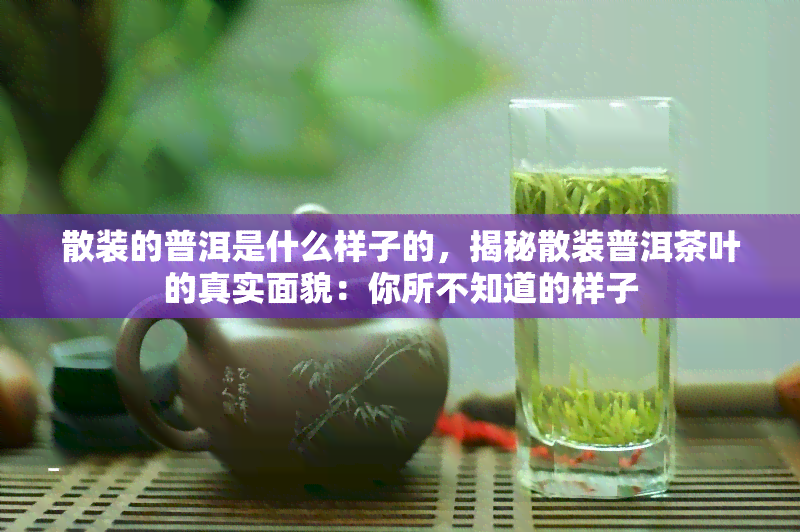 散装的普洱是什么样子的，揭秘散装普洱茶叶的真实面貌：你所不知道的样子