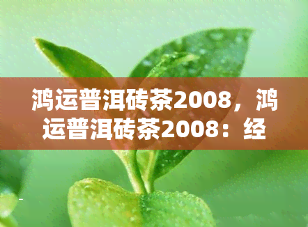 鸿运普洱砖茶2008，鸿运普洱砖茶2008：经典陈年茶叶，品味醇厚口感