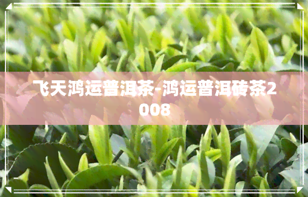 飞天鸿运普洱茶-鸿运普洱砖茶2008