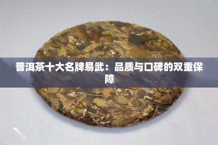 普洱茶十大名牌易武：品质与口碑的双重保障