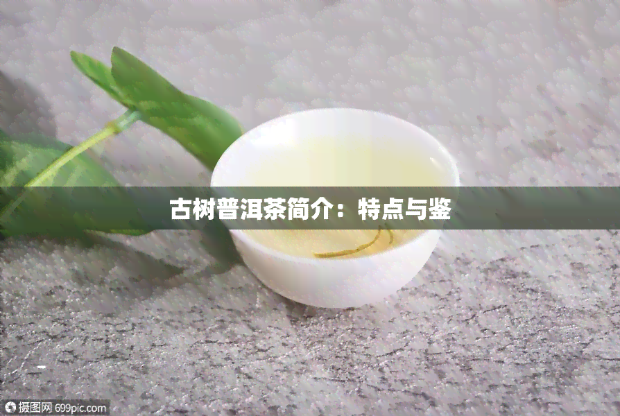 古树普洱茶简介：特点与鉴