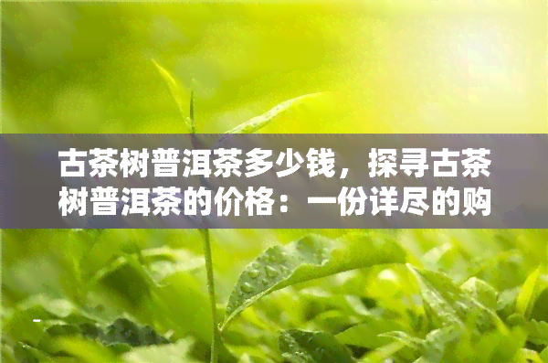 古茶树普洱茶多少钱，探寻古茶树普洱茶的价格：一份详尽的购买指南