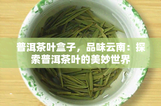 普洱茶叶盒子，品味云南：探索普洱茶叶的美妙世界