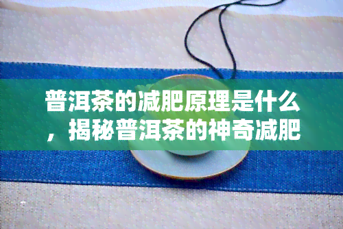 普洱茶的减肥原理是什么，揭秘普洱茶的神奇减肥效果：原理解析