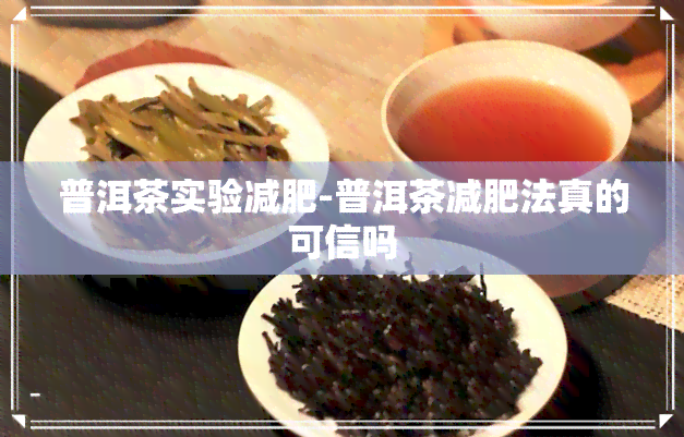 普洱茶实验减肥-普洱茶减肥法真的可信吗