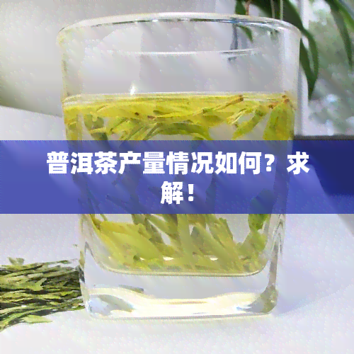 普洱茶产量情况如何？求解！