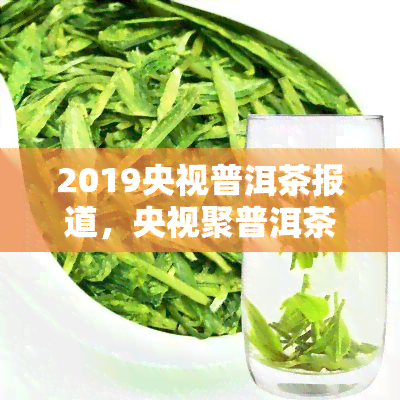 2019央视普洱茶报道，央视聚普洱茶：2019年特别报道