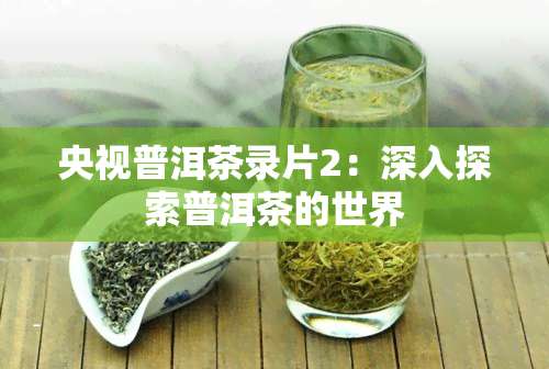 央视普洱茶录片2：深入探索普洱茶的世界