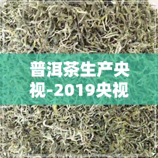 普洱茶生产央视-2019央视普洱茶报道