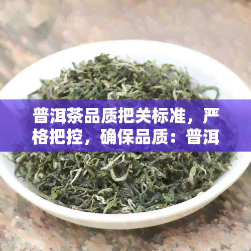 普洱茶品质把关标准，严格把控，确保品质：普洱茶的品控标准解析