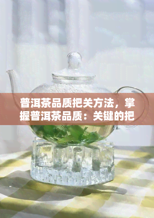 普洱茶品质把关方法，掌握普洱茶品质：关键的把关方法