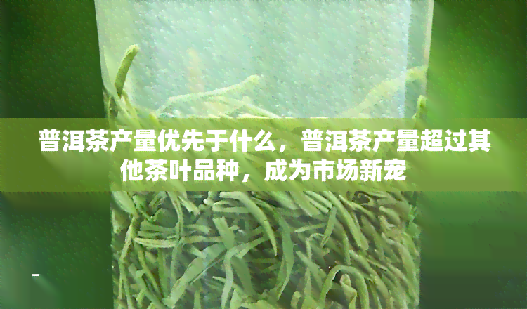 普洱茶产量优先于什么，普洱茶产量超过其他茶叶品种，成为市场新宠