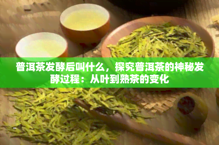 普洱茶发酵后叫什么，探究普洱茶的神秘发酵过程：从叶到熟茶的变化