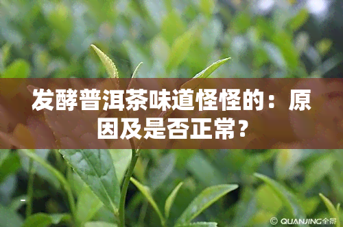 发酵普洱茶味道怪怪的：原因及是否正常？