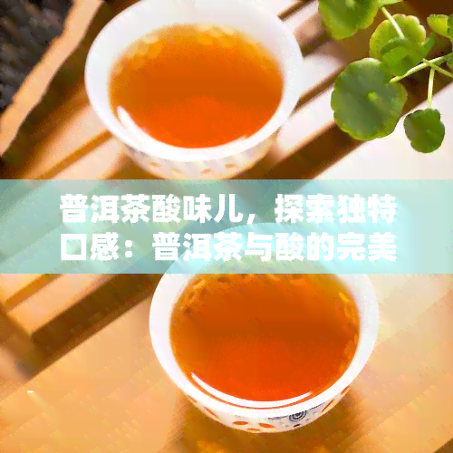 普洱茶酸味儿，探索独特口感：普洱茶与酸的完美结合