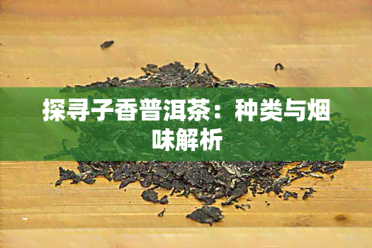 探寻子香普洱茶：种类与烟味解析