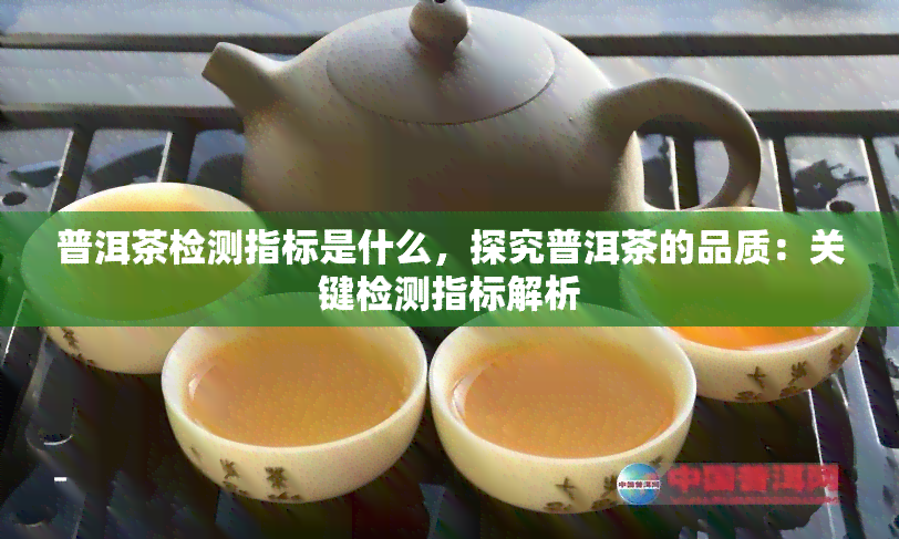 普洱茶检测指标是什么，探究普洱茶的品质：关键检测指标解析