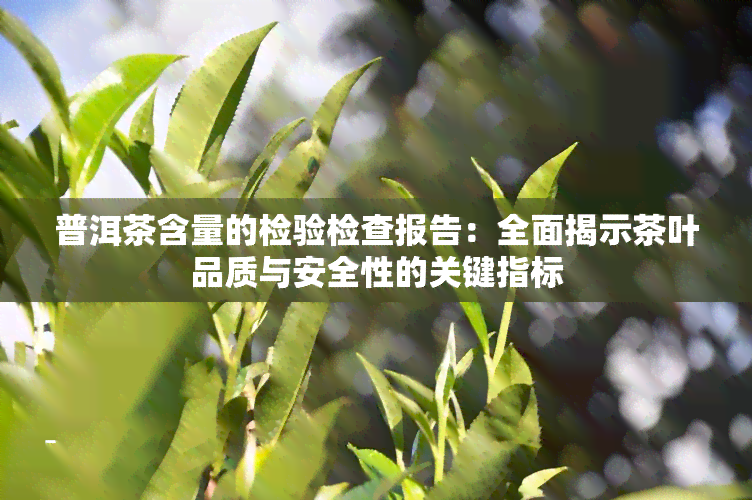 普洱茶含量的检验检查报告：全面揭示茶叶品质与安全性的关键指标